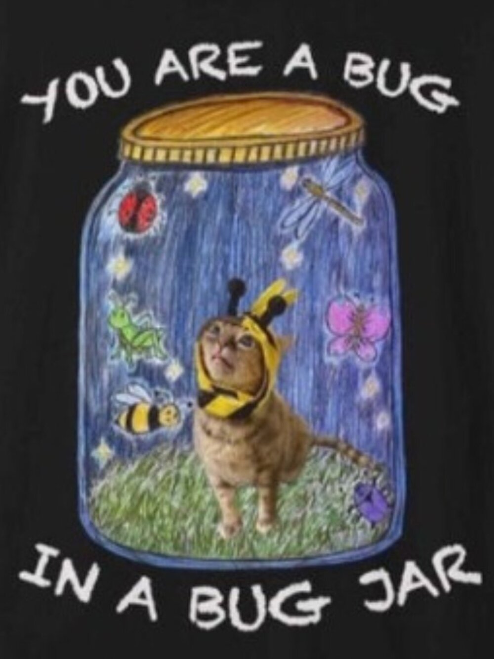 Gumbus Bug Jar T-shirt - Picture 2 of 4